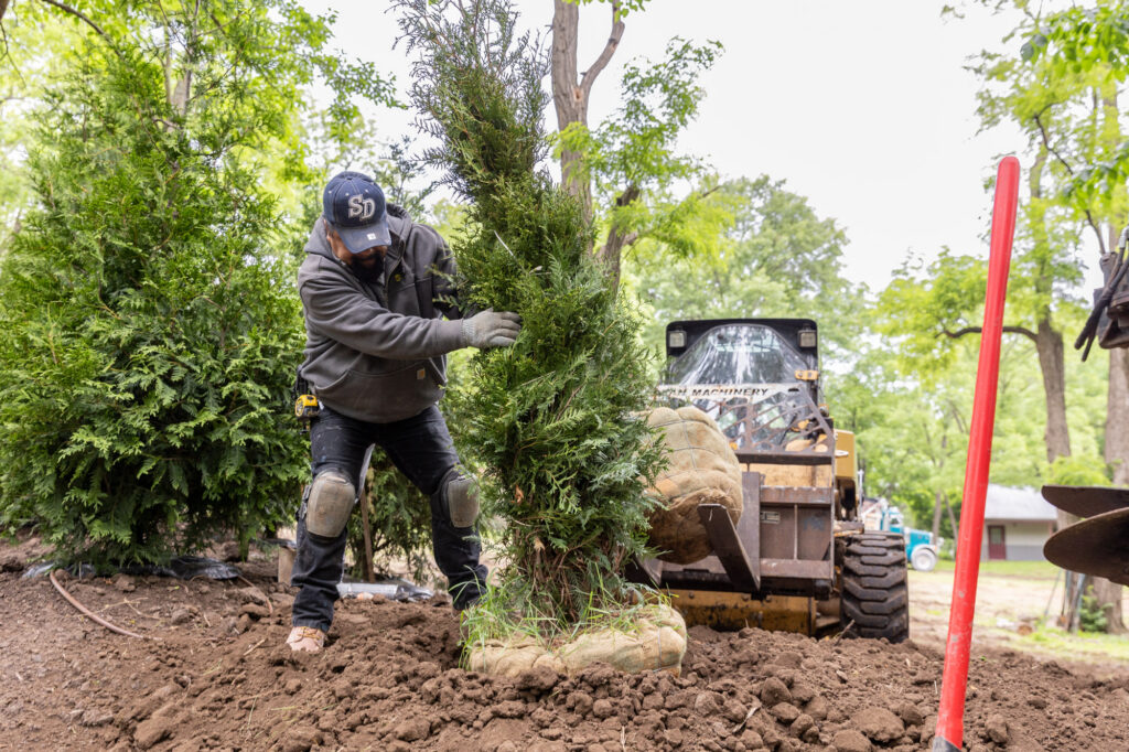A member of our team install trees as a part of landscaping in Mission Hills